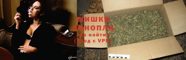 молекула духа Верхний Тагил
